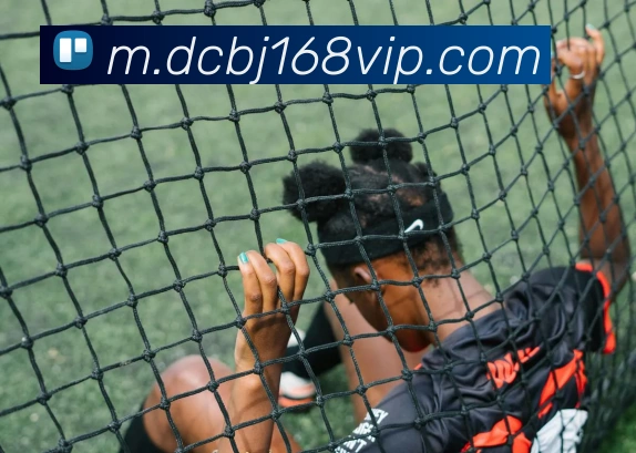 数据防护可视化